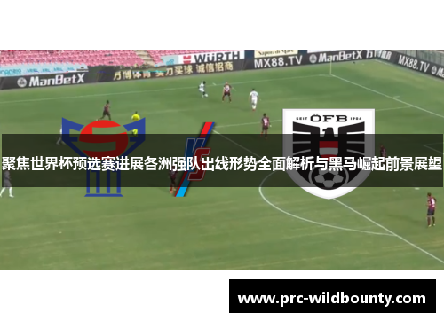聚焦世界杯预选赛进展各洲强队出线形势全面解析与黑马崛起前景展望