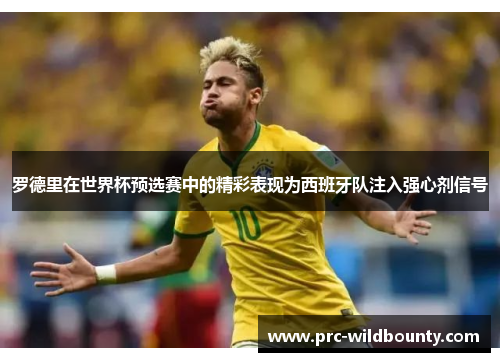 罗德里在世界杯预选赛中的精彩表现为西班牙队注入强心剂信号