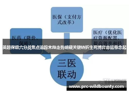 英超保级六分战焦点追踪末段走势暗藏关键转折生死博弈命运悬念起 英超保级六分战焦点追踪末段走势暗藏关键转折生死博弈命运悬念起